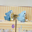 Cartoon Shark Cat  Cute Ornaments